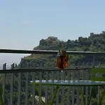 Un Al Belvedere ベッド・アンド・ブレックファスト